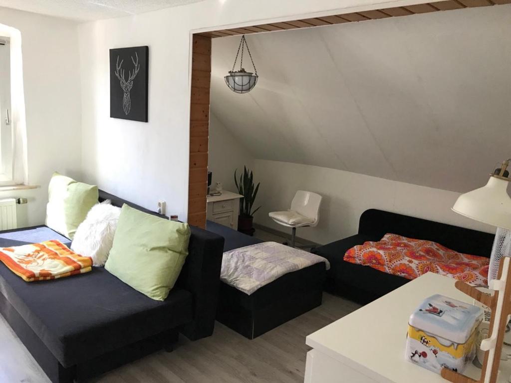 Ferienwohnung Im Einfamilienhaus, Automobil Und Robert Schumann Stadt Zwickau Kültér fotó