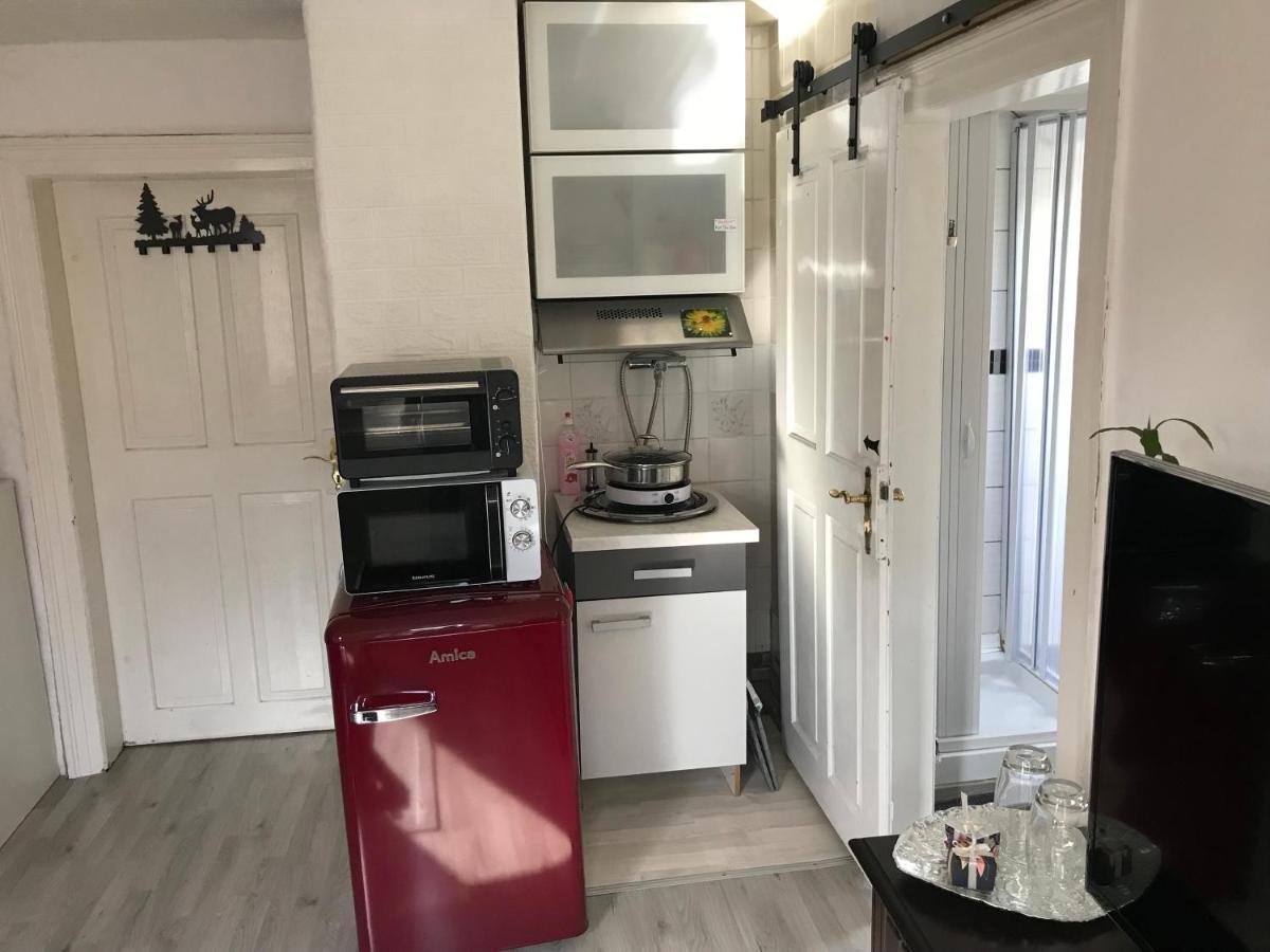Ferienwohnung Im Einfamilienhaus, Automobil Und Robert Schumann Stadt Zwickau Kültér fotó